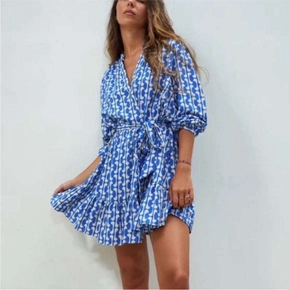 Zara Paula Dress View 2